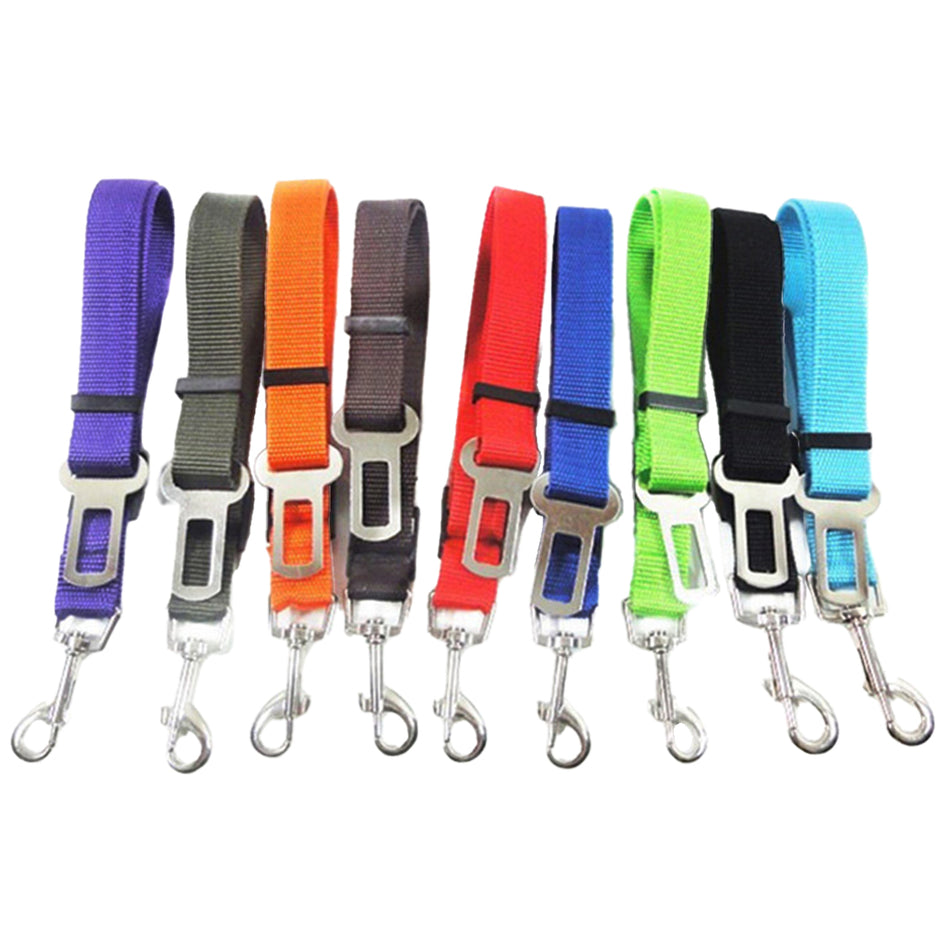 فيروم حزام تثبيت قابل للتعديل للحيوانات الأليفة - ألوان متنوعة