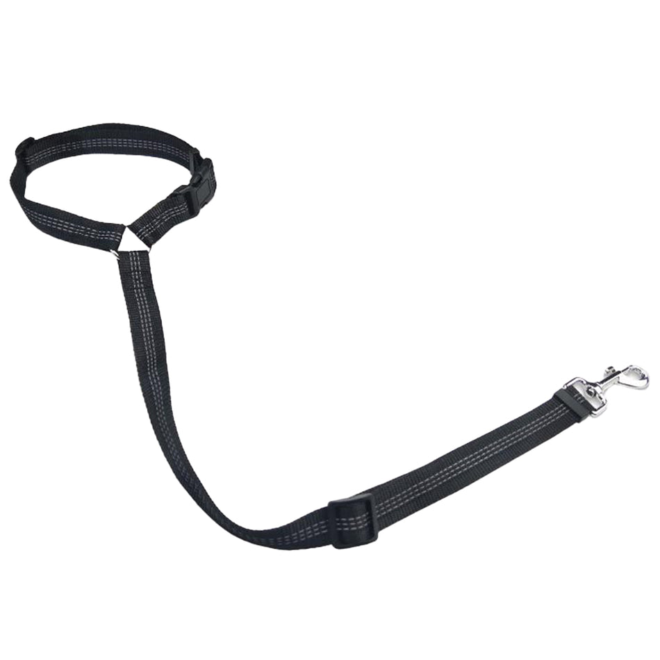 فيروم حزام تثبيت الحيوانات الأليفة بمقعد السيارة - ألوان متنوعة