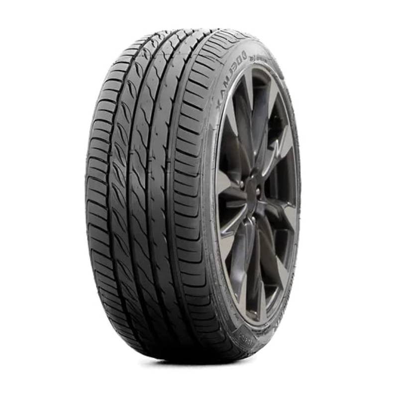 Delmax 205/55R17 PERFORMPRO PCR Tires
