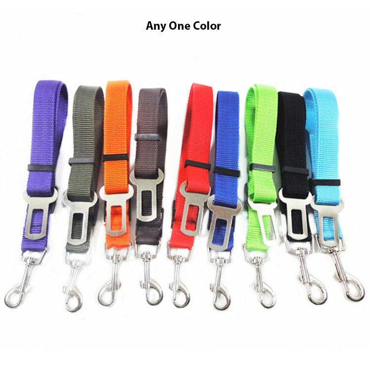Belt For Pet-Sy-029